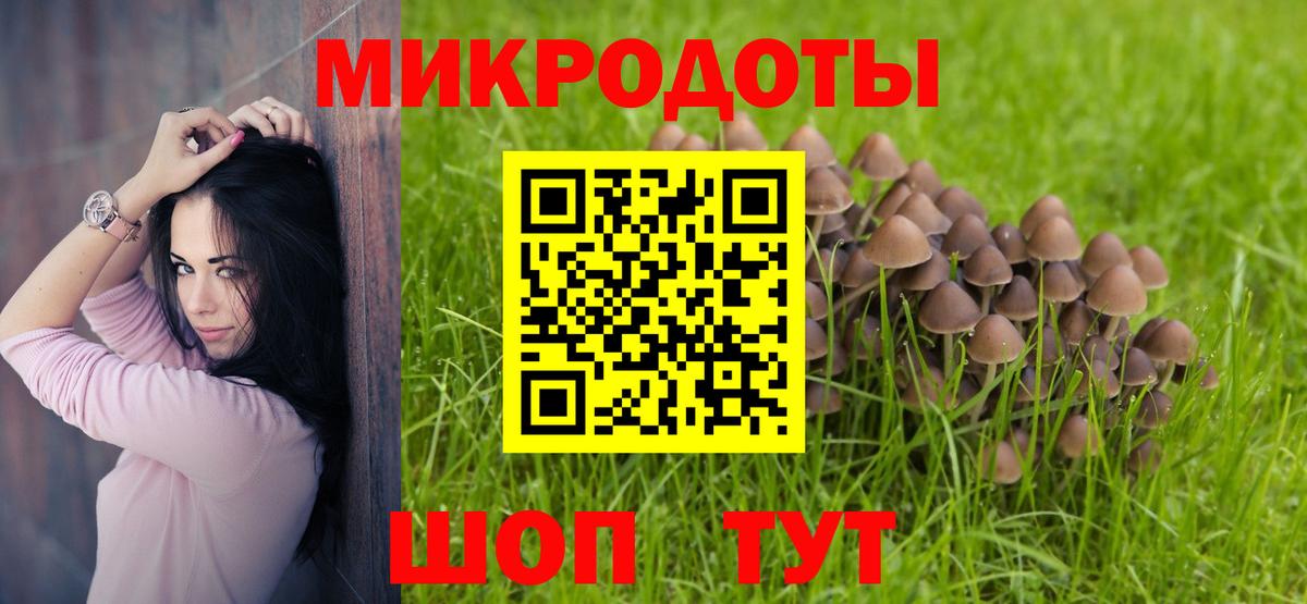Псилоцибиновые грибы прущие грибы  Вход с VPN  Сибай 