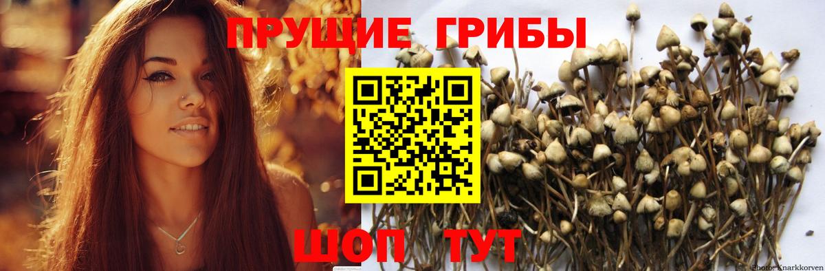 Галлюциногенные грибы мухоморы Сибай